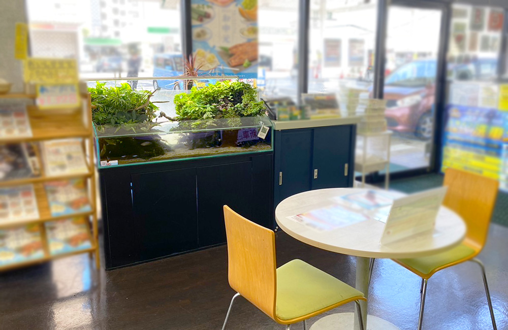 店舗の待合室に設置されたアクアテラリウム水槽