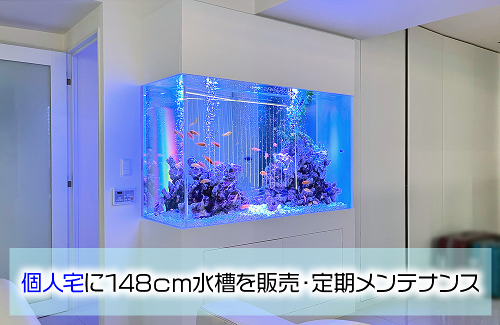 個人宅に148cm水槽を販売・定期メンテナンスの見出し画像