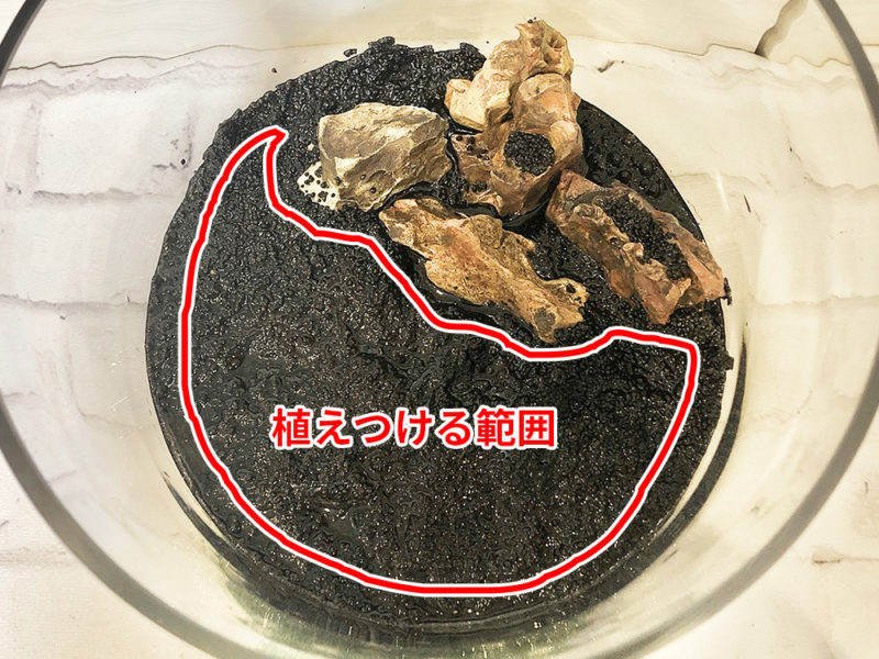 水草を植えつける範囲を示したボトルアクアリウムの底砂