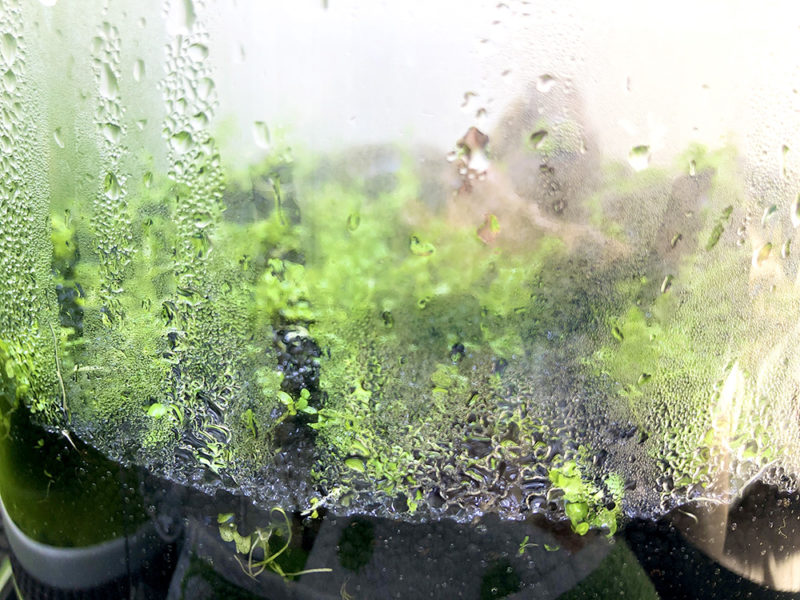 水滴の付いたガラス容器内の水草とソイル