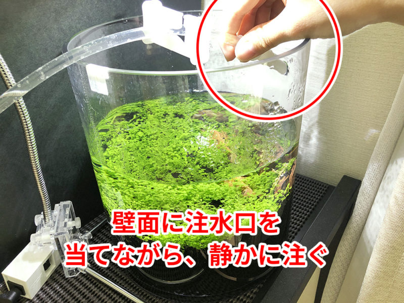 壁面に注水口を当てながら静かに注ぐ手順の解説画像
