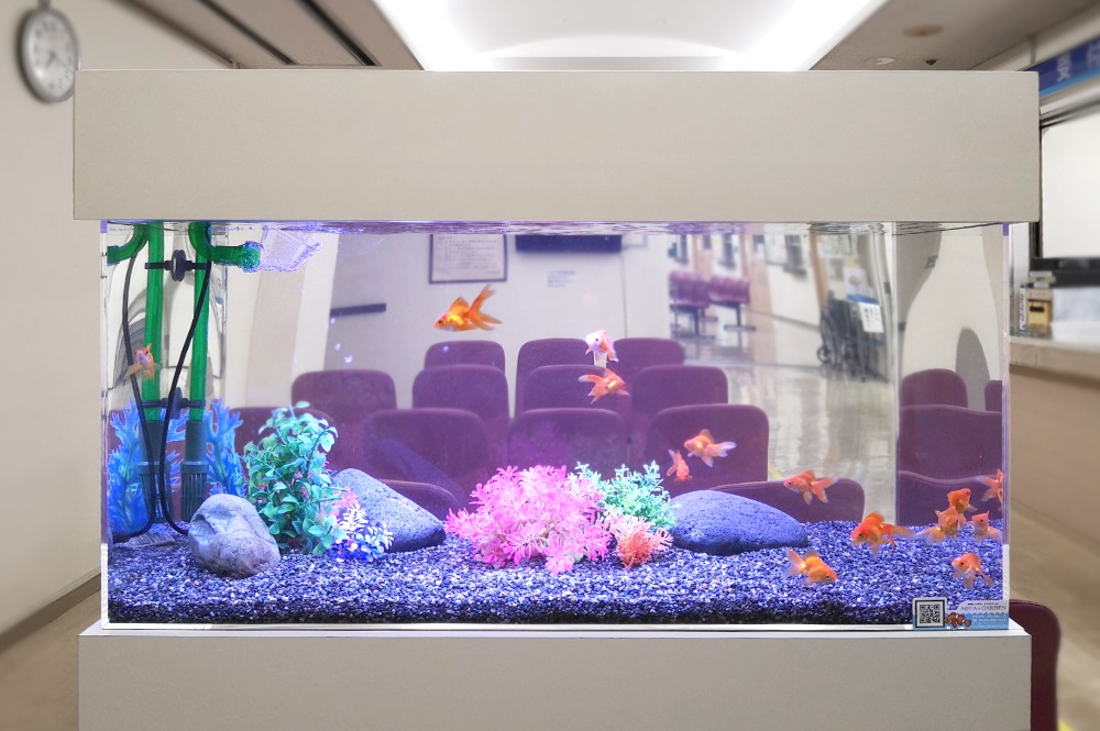 待合室に設置された金魚が泳ぐ人工水草レイアウトの水槽