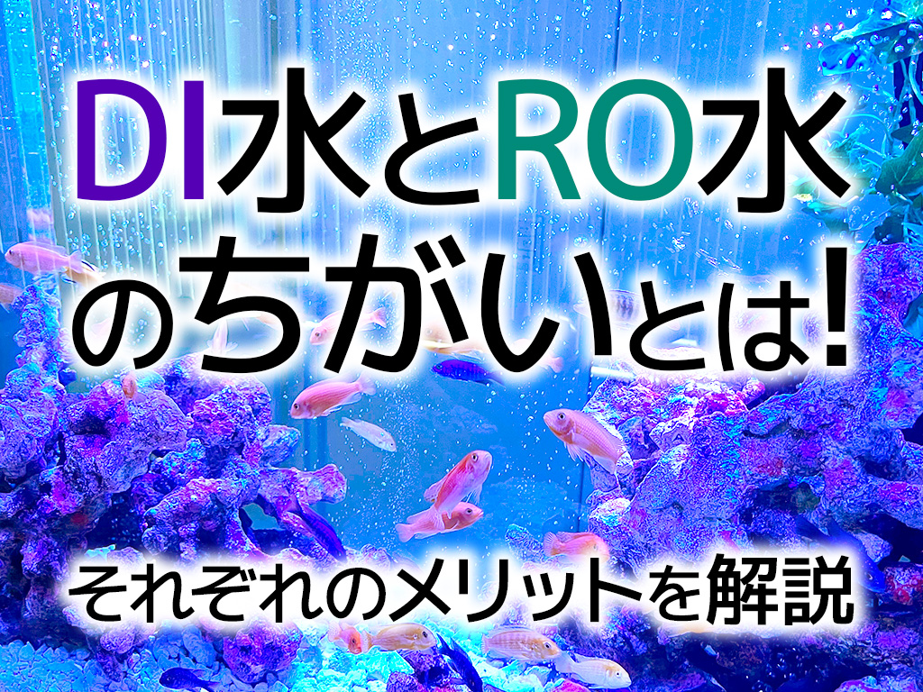 DI水とRO水の違いとは!アクアリウム浄水器を使うべき状態も解説のサムネイル画像