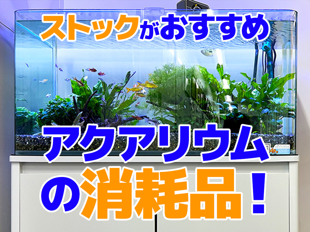 アクアリウムの消耗品8選!ストックがおすすめな資材を紹介しますのサムネイル画像