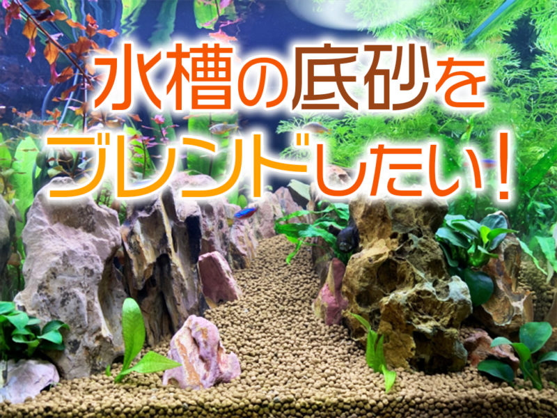 水槽の底砂をブレンドしたい！の文字と水草水槽の画像