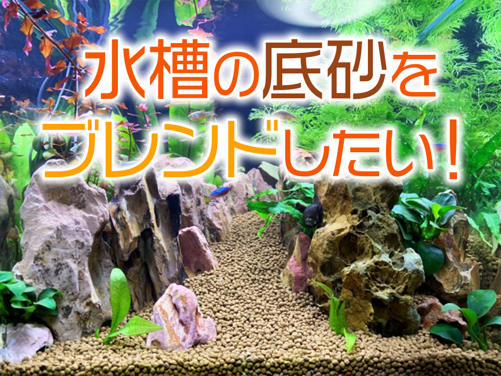 水槽の底砂を混ぜたい！ブレンドして良い例・悪い例やその理由を紹介