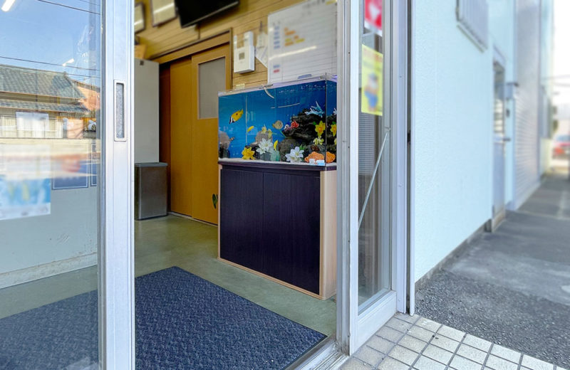 店舗入口に設置された海水魚水槽と黒い水槽台