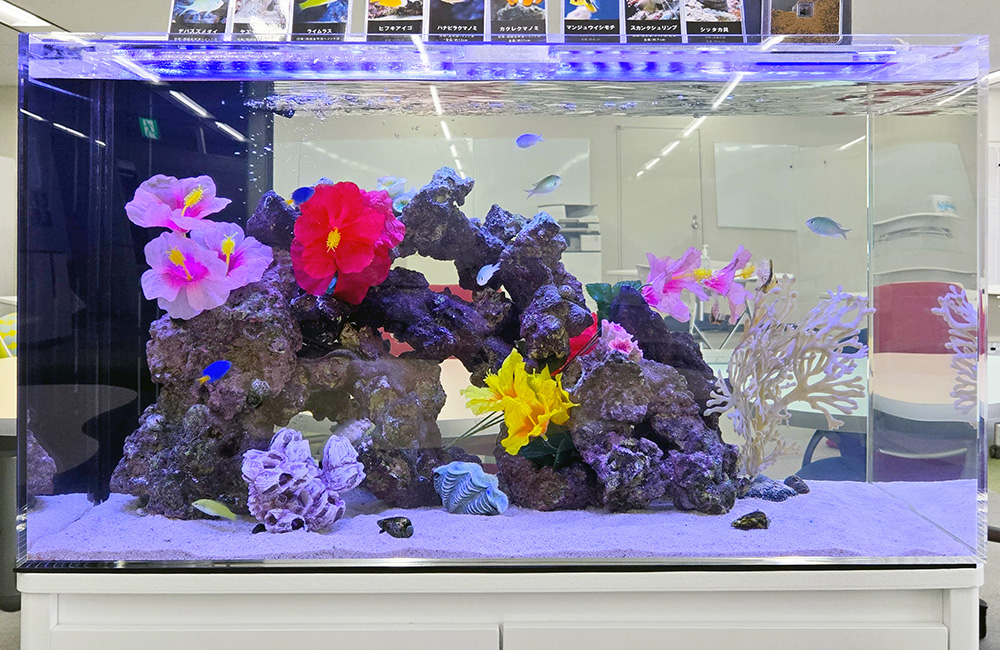 造花と岩で装飾された海水魚水槽のレイアウト
