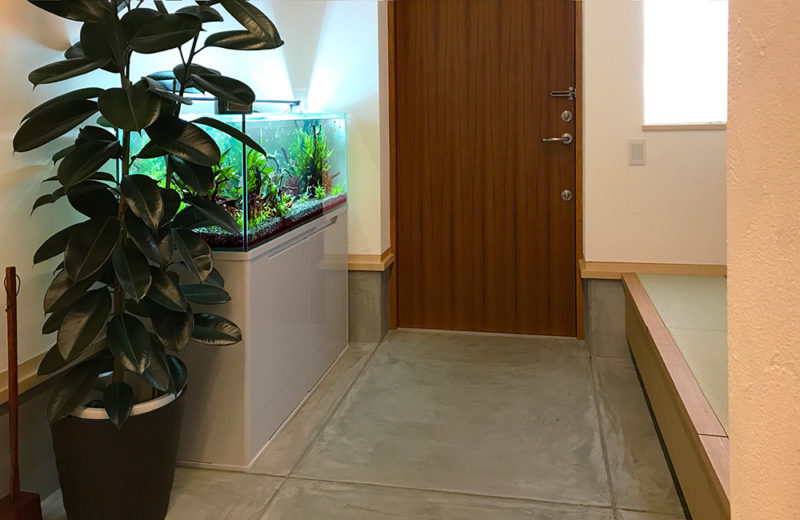 企業様のモデルルームに設置した120cm淡水魚水槽!ラスボラの群泳! 水槽画像5