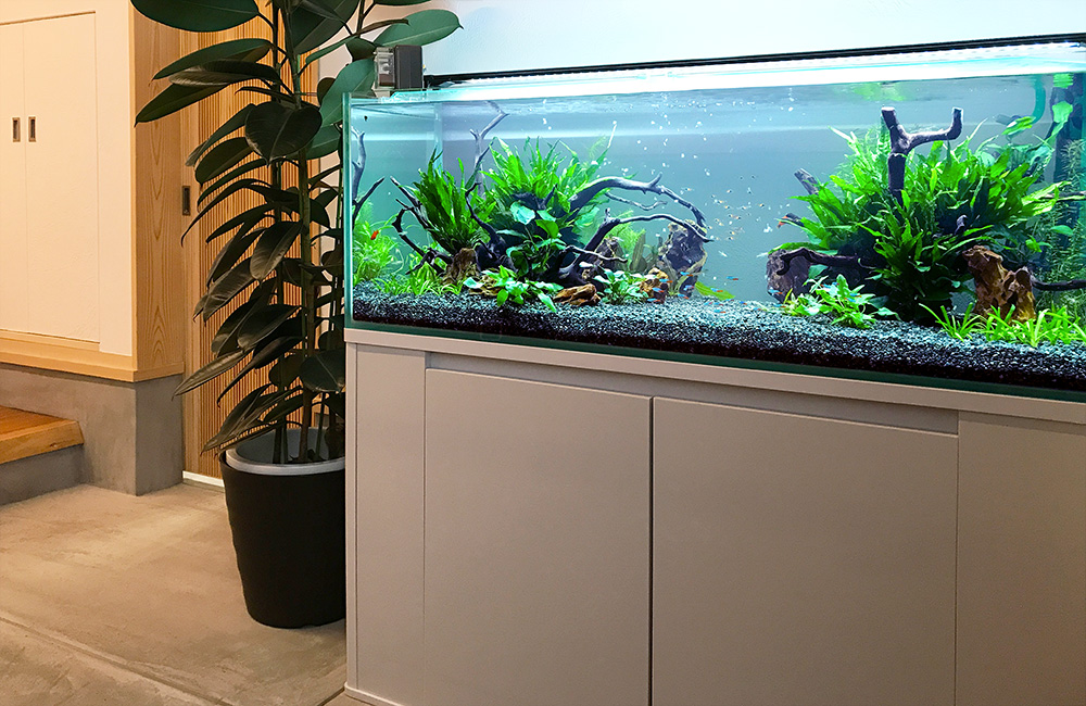 観葉植物の横に設置された流木と水草の大型水槽
