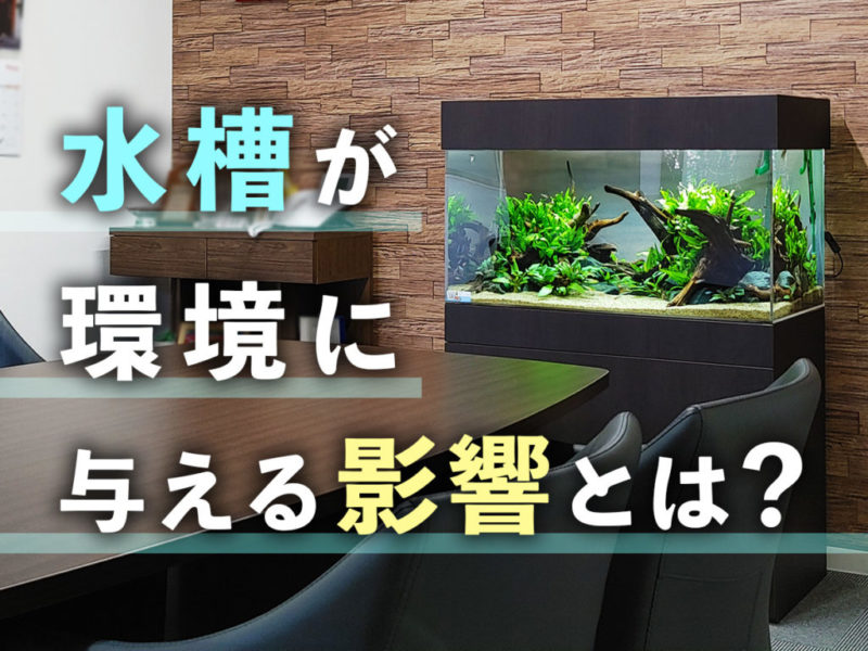 水槽が環境に与える影響とは？の文字と会議室の水槽