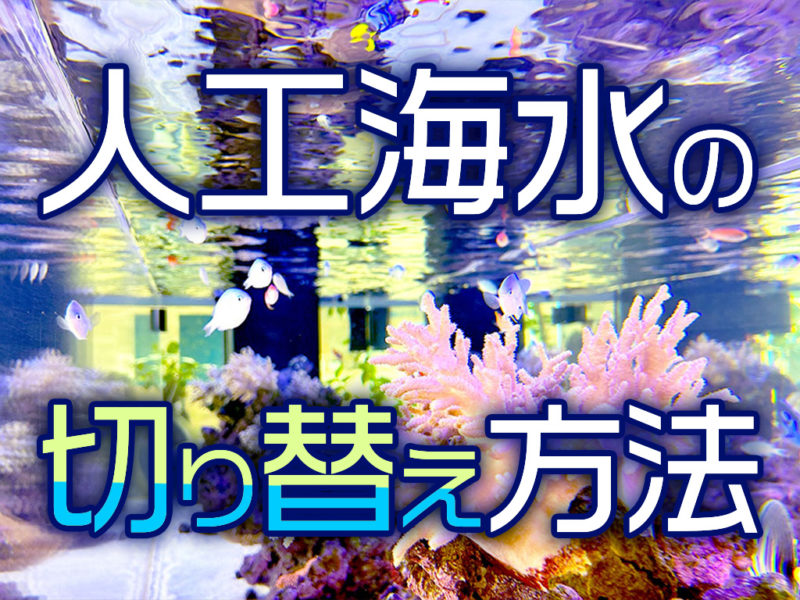 人工海水の切り替え方法の文字とサンゴが並ぶ海水槽画像