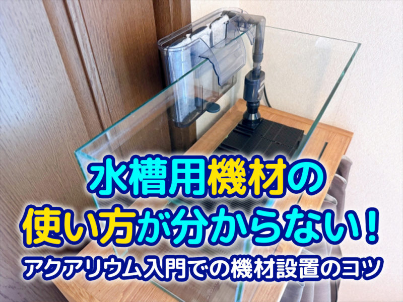 水槽用機材の使い方が分からない時の設置のコツの見出し画像