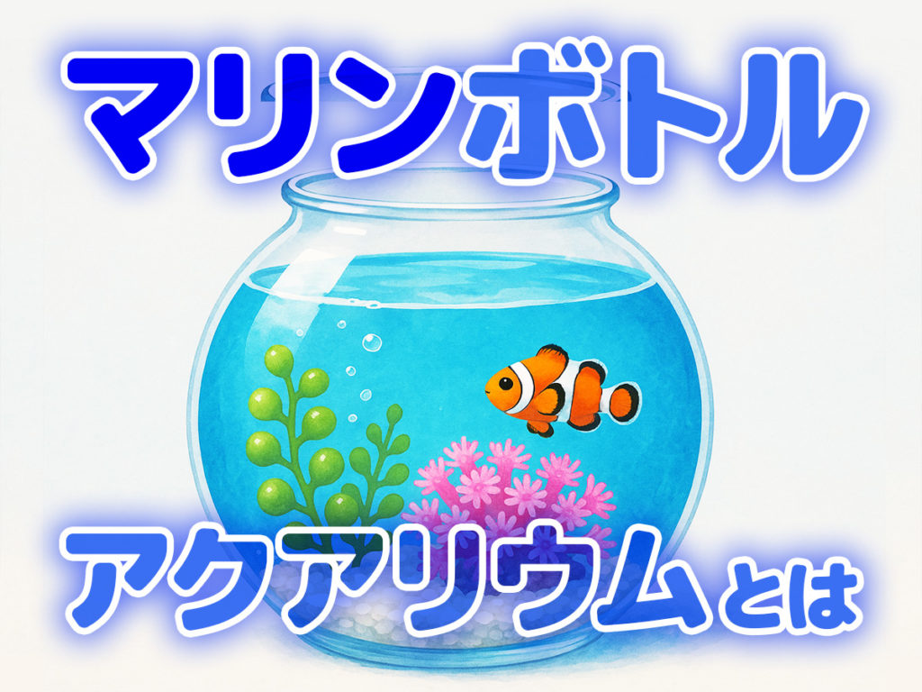マリンボトルアクアリウムとは!作り方・管理法から向いている生体も紹介のサムネイル画像
