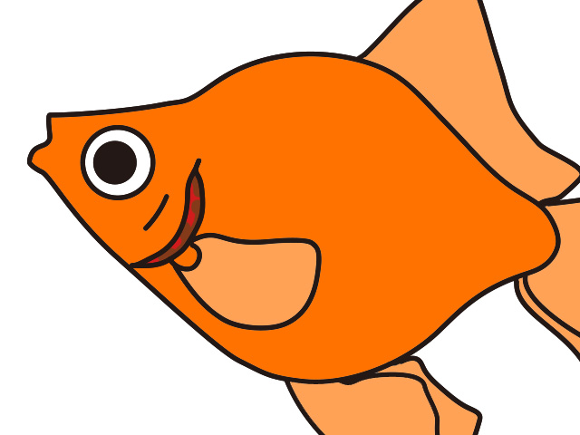 オレンジ色の丸い体をした金魚のイラスト