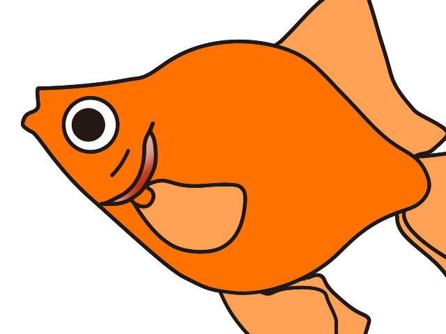 オレンジ色の丸い体をした金魚のイラスト