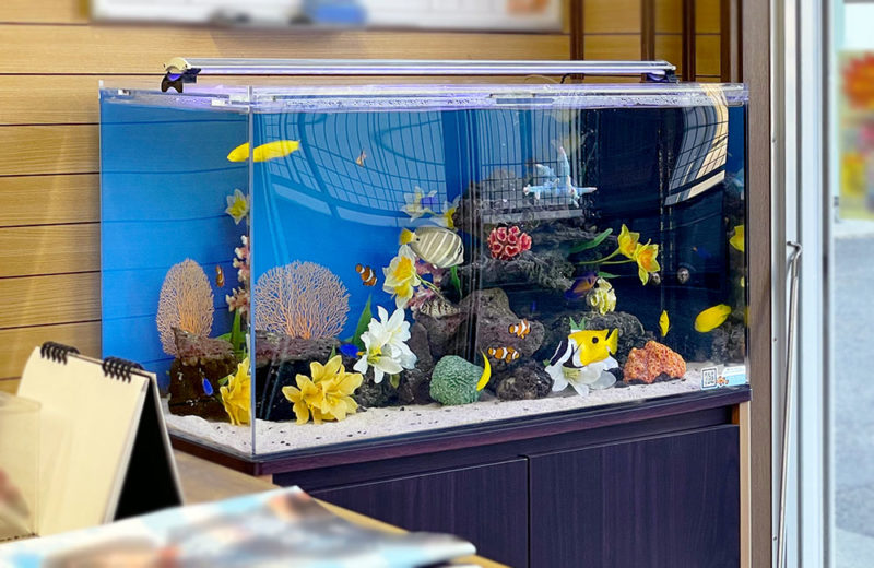造花と海水魚が泳ぐ青い背景の大型水槽レイアウト