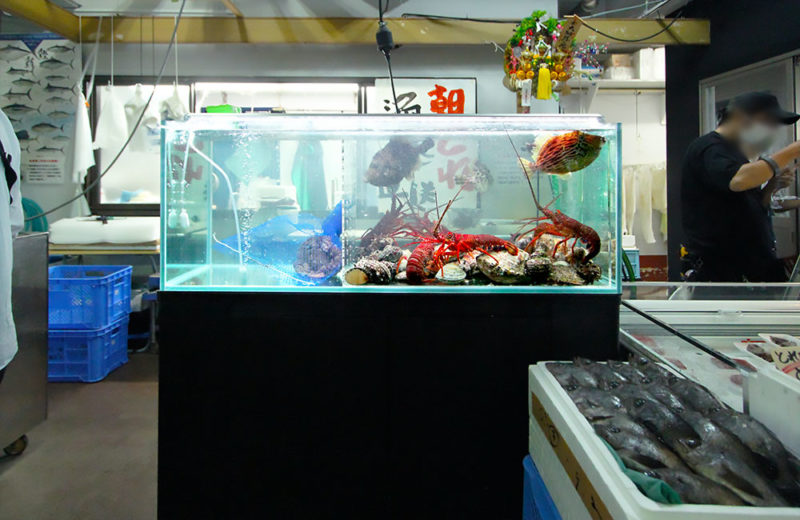 伊勢海老や魚が入った鮮魚店の活魚水槽