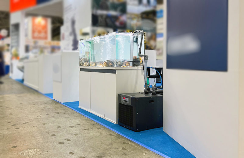 企業様のシーフードショーブースに短期レンタル!ロブスターの120cmいけす水槽 水槽画像5