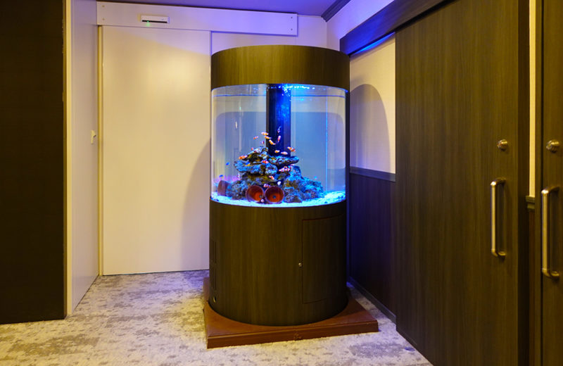 クリニックの直径1ｍ大型円柱水槽！その後の様子・たくさんのカクレクマノミ 水槽画像４