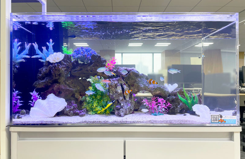 企業様のオフィスに設置!さわやかな癒しの90cm海水魚水槽 水槽画像2