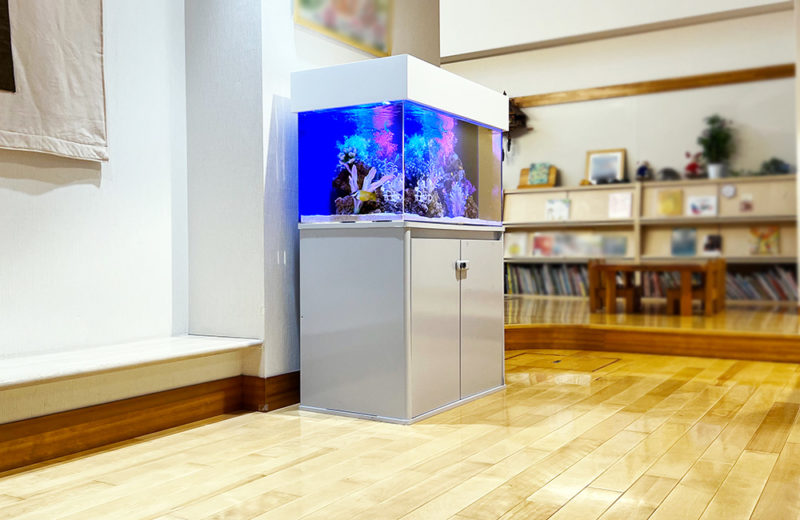 保育園様に海水魚水槽をレンタル！月2回メンテナンスで管理しています 水槽画像５