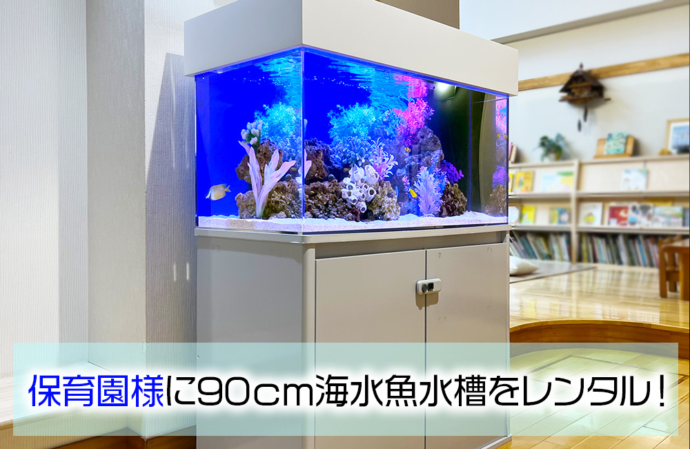 保育園様に海水魚水槽をレンタル!月2回メンテナンスで管理しています