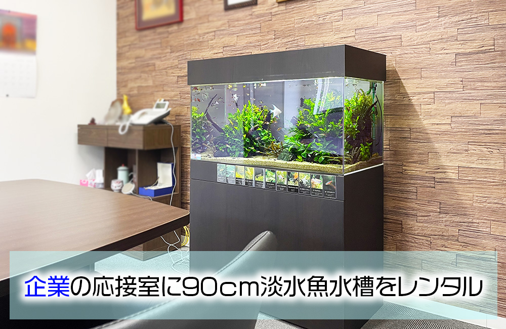 企業様の応接室に90cm淡水魚水槽をレンタル！4年目の様子のサムネイル画像