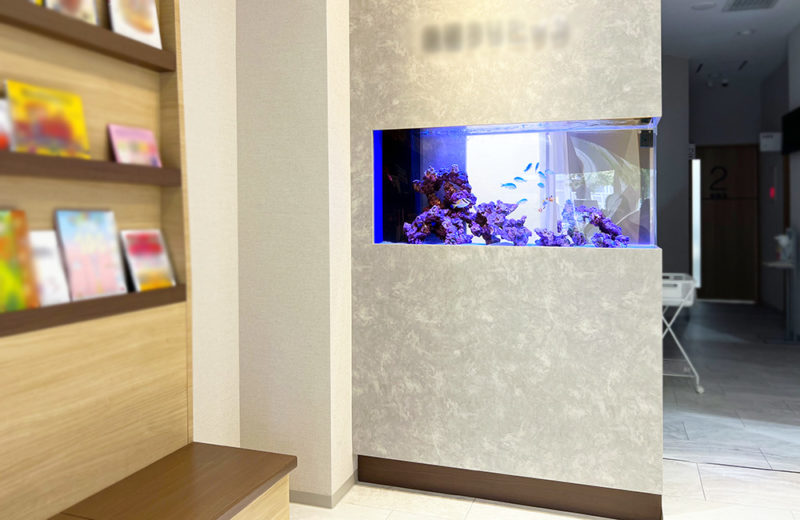 耳鼻科クリニック様に120cm埋め込み水槽を販売!定期メンテナンスで管理します 水槽画像5