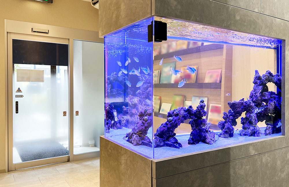 青い照明の海水魚水槽と岩組みレイアウトの埋め込み設置例