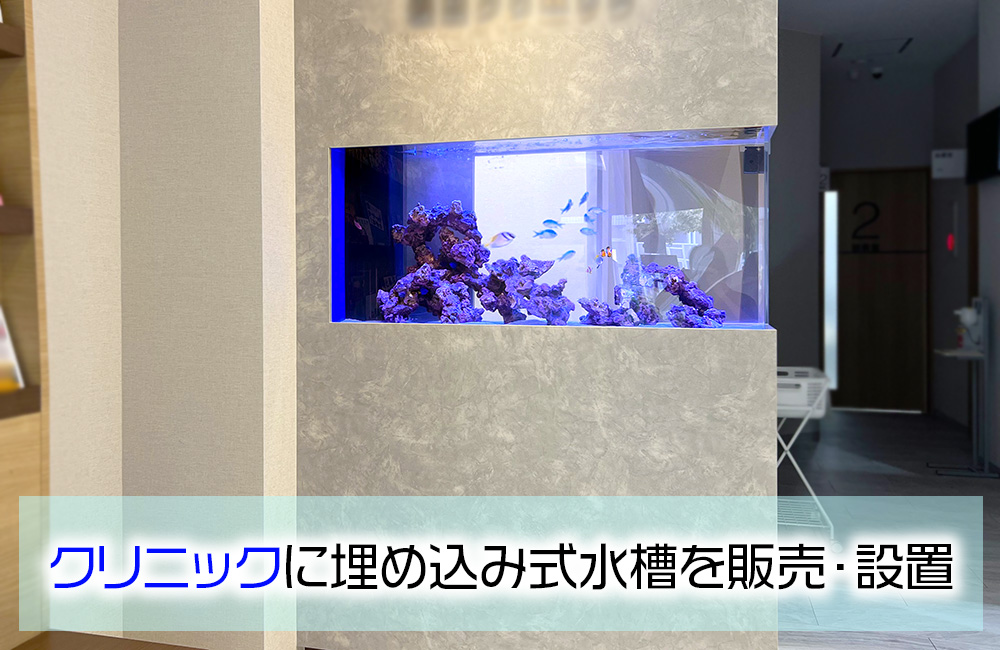 クリニックに埋め込み式水槽を販売・設置の見出し画像