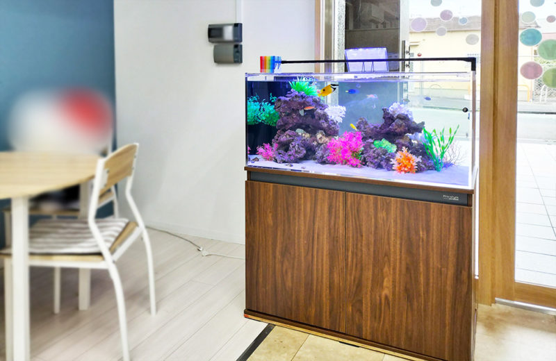 奈良こども療育学園「びりーぶ」様に90cm海水魚水槽をレンタル! 水槽画像5