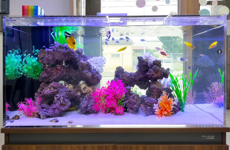奈良こども療育学園「びりーぶ」様に90cm海水魚水槽をレンタル! 水槽画像2