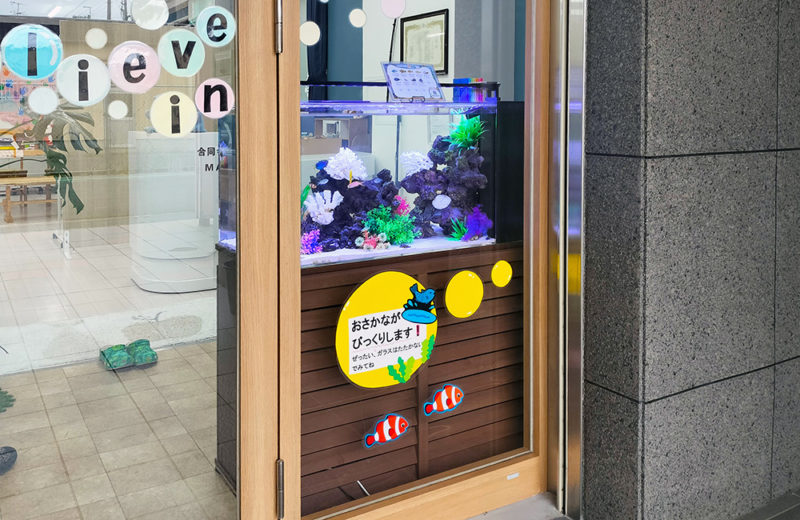 奈良こども療育学園「びりーぶ」様に90cm海水魚水槽をレンタル! 水槽画像3