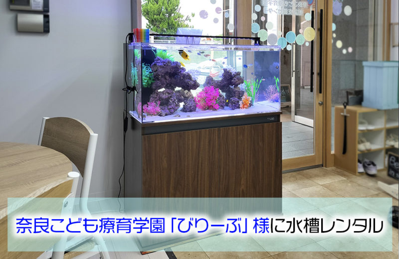奈良こども療育学園「びりーぶ」様に90cm海水魚水槽をレンタル! 水槽画像1