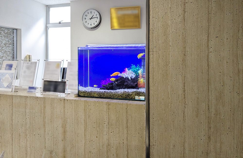 受付カウンターに設置された青い背景の熱帯魚水槽