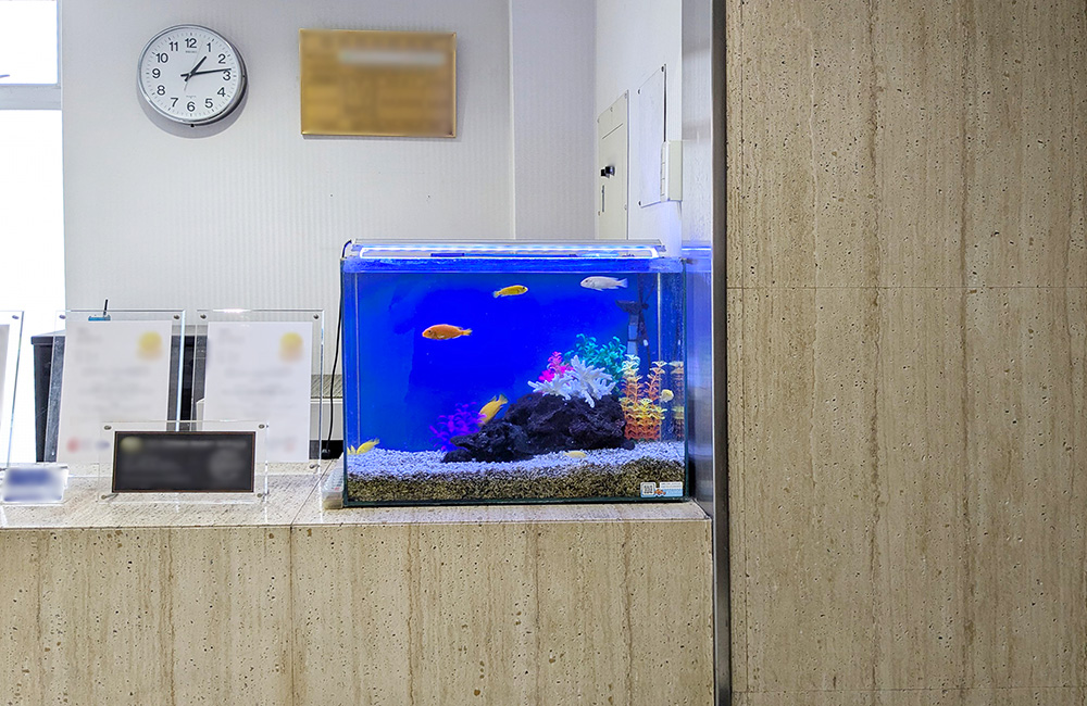 受付カウンターに設置された青い背景の熱帯魚水槽