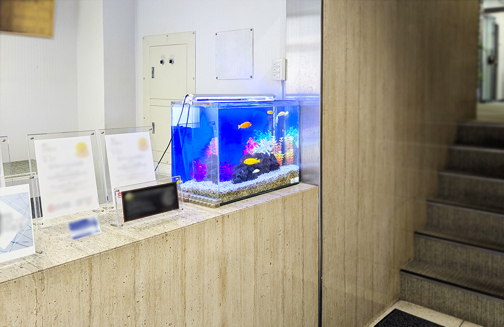 受付カウンターに設置された青い背景の熱帯魚水槽