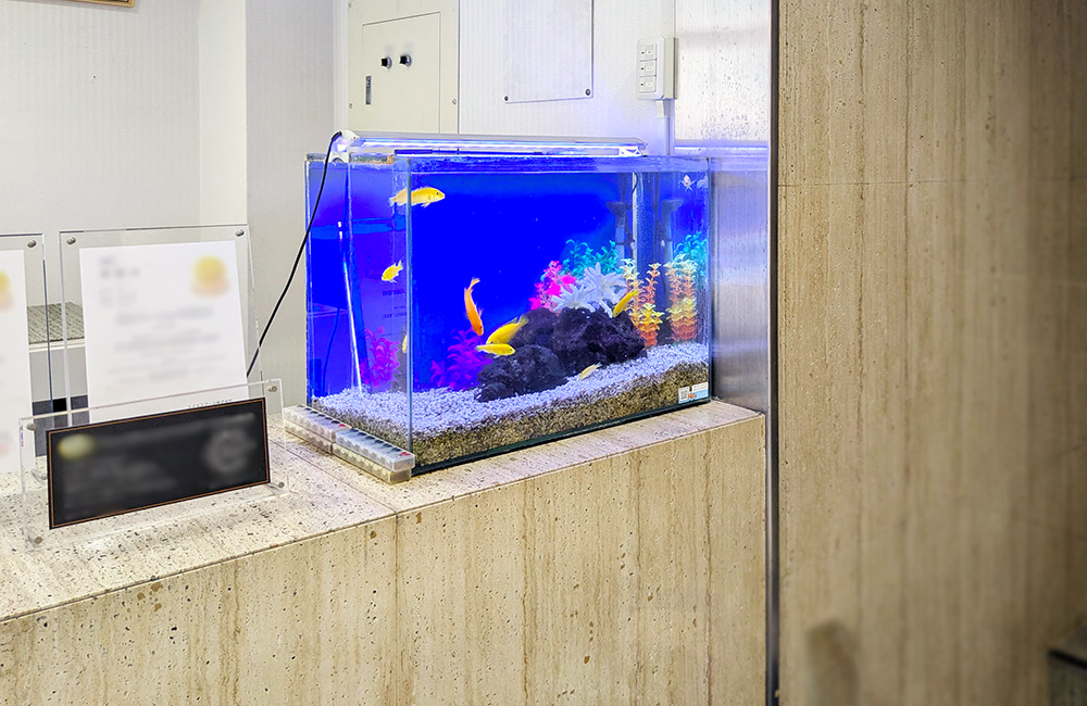 受付に設置された黄色い熱帯魚が泳ぐ青い背景の水槽