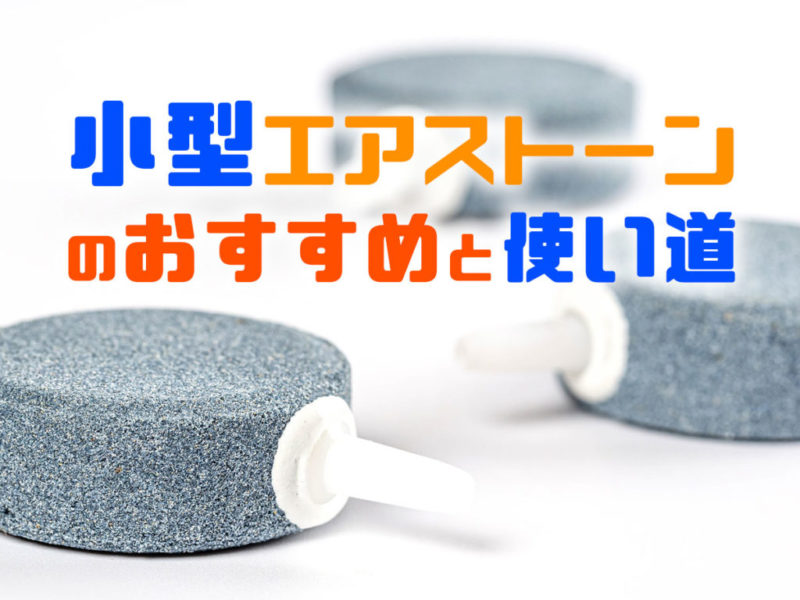 小型エアストーンのおすすめ5選と使い道を解説!エアー量に注目しよう!