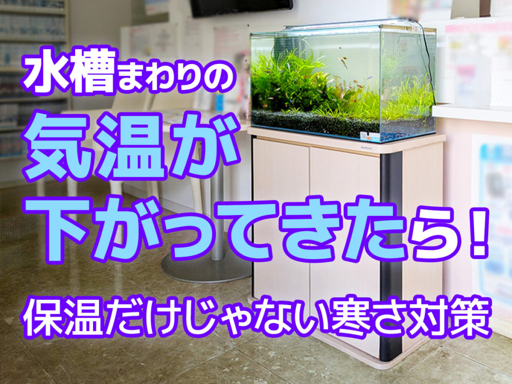 水槽まわりの気温が下がったら！保温だけじゃない寒さ対策を解説します！