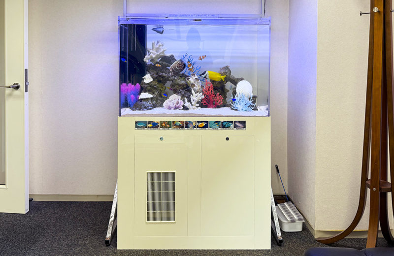 企業様の90cm海水魚水槽!オフィスにレンタルして19年目の様子 水槽画像5
