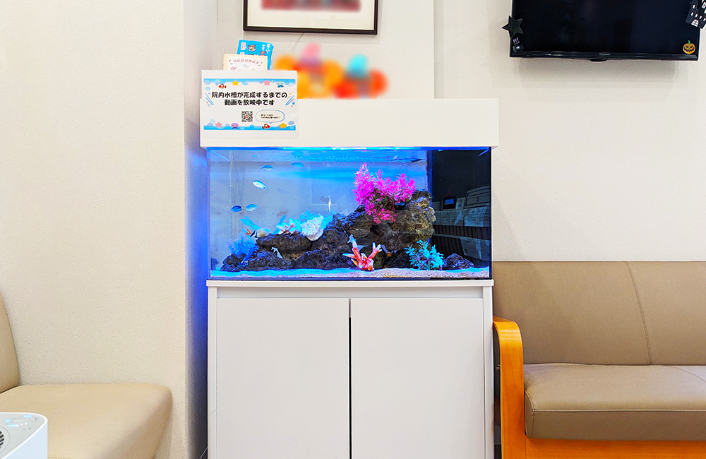 待合室のソファ横に設置された海水魚水槽と白い水槽台