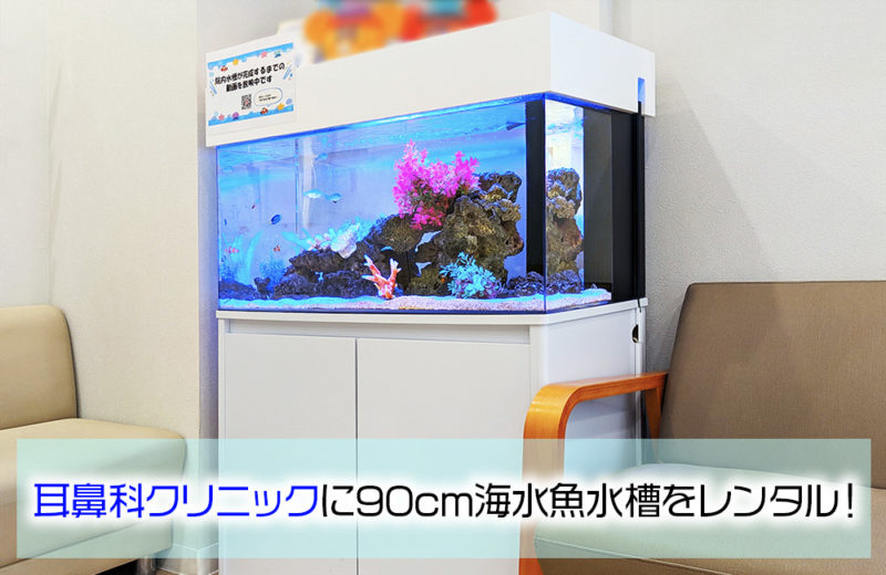 耳鼻科クリニック様の90cm海水魚水槽!水槽の位置を換えた後の様子 水槽画像1