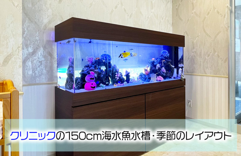 クリニック様のハロウィン水槽!150cmの海水魚水槽に季節のレイアウト 水槽画像1