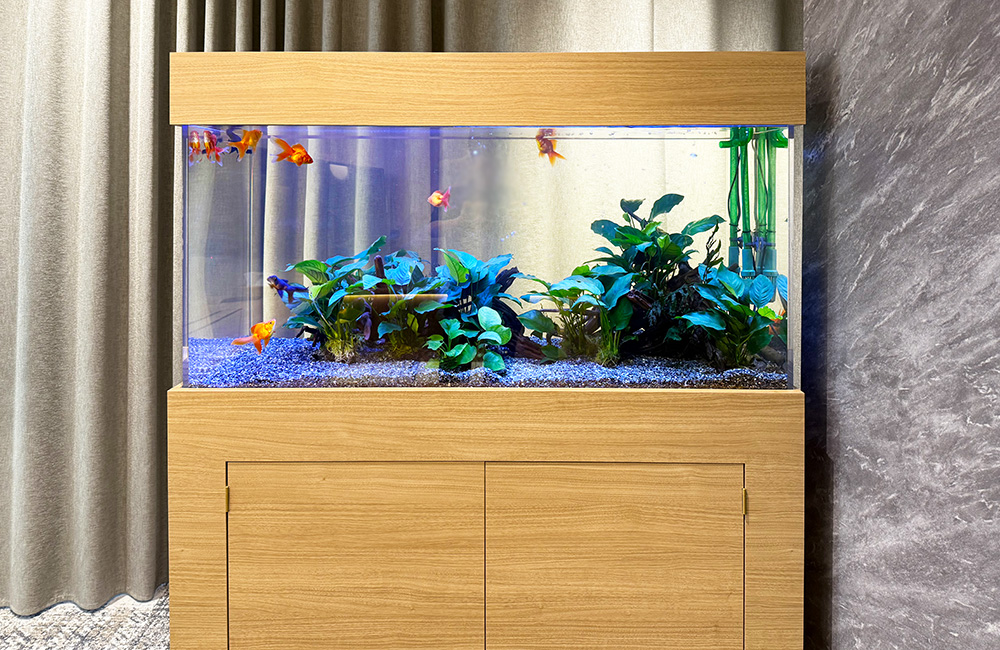 木目調の水槽台に設置された金魚と水草のアクアリウム