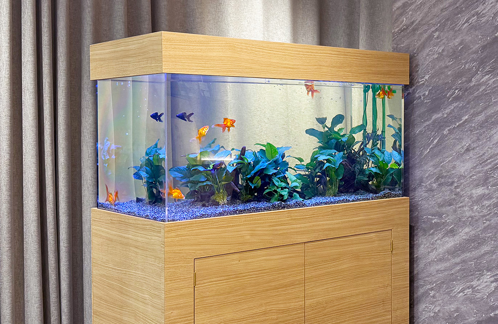 金魚水槽 水草