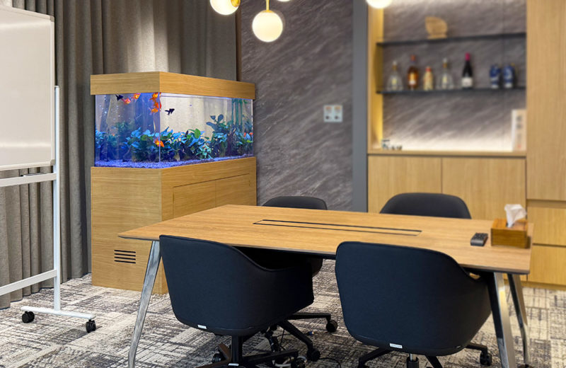 企業様の金魚水槽！126cm特注水槽を販売・メンテナンス！その後の様子 水槽画像４