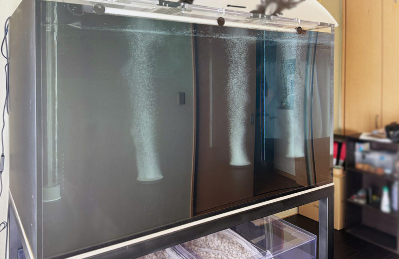 個人宅様へ大型アロワナ水槽を販売・設置！150cmワイド水槽一式をオーダーメイド 水槽画像２