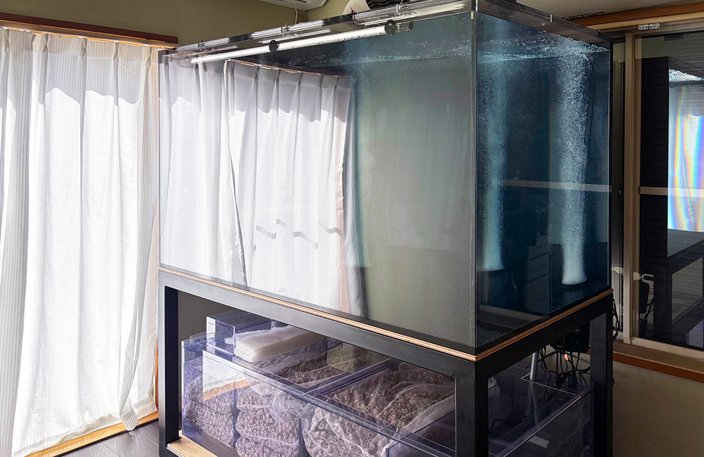 大型水槽と濾過槽を備えたオーバーフロー水槽一式